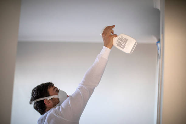 Mold Removal and Inspection in Spring Park, MN