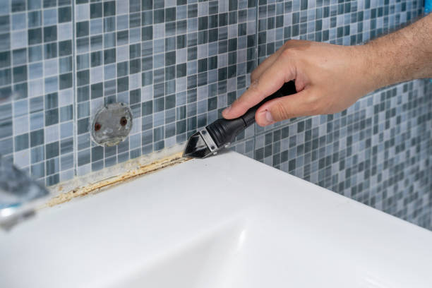 Best Certified Mold Removal  in Spring Park, MN