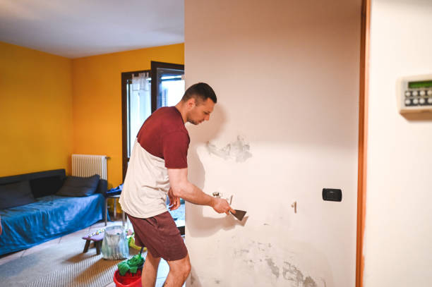 Best Mold Removal and Inspection  in Spring Park, MN
